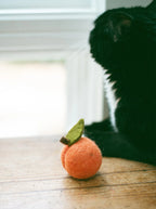 Kitty Peaches 4 - MiniPaw Luxe