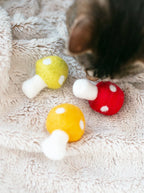 Kitty Shrooms 2 - MiniPaw Luxe