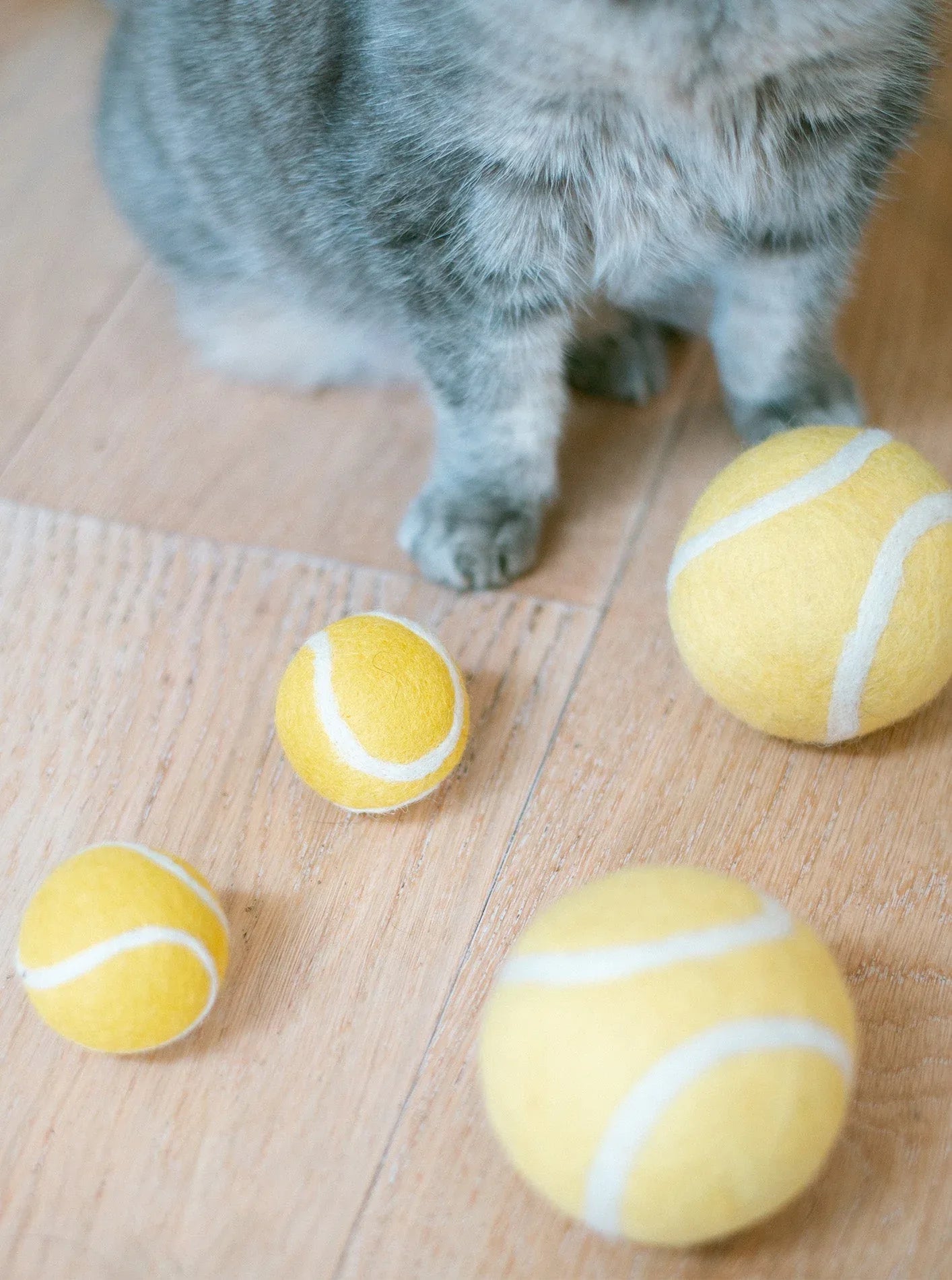 Kitty Tennis Ball 3 - MiniPaw Luxe