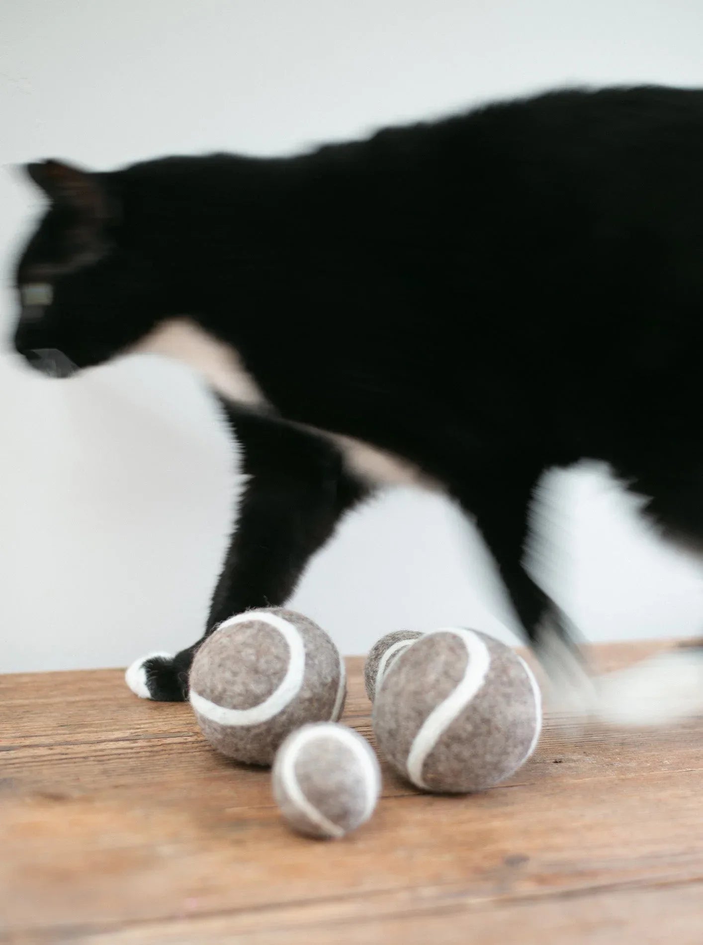Kitty Tennis Ball 4 - MiniPaw Luxe