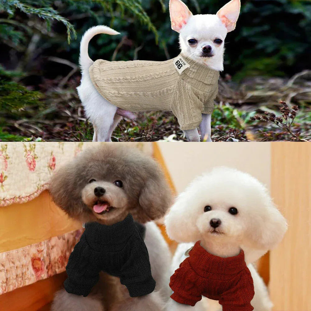 Knit Turtleneck Sweater for Small Dogs and Cats 10 - MiniPaw Luxe
