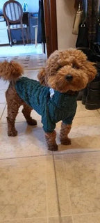 Knit Turtleneck Sweater for Small Dogs and Cats 12 - MiniPaw Luxe