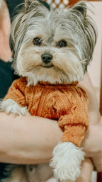 Knit Turtleneck Sweater for Small Dogs and Cats 13 - MiniPaw Luxe