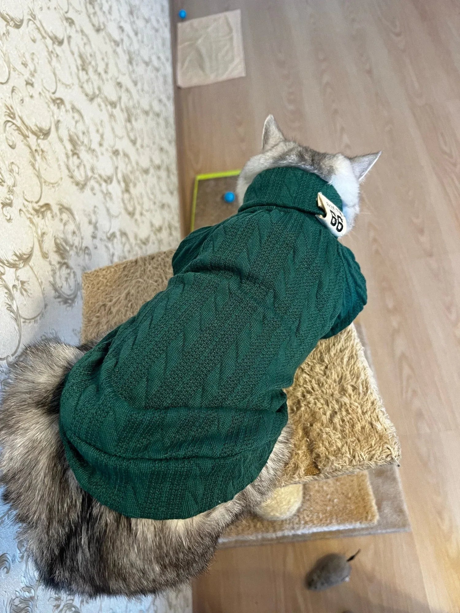 Knit Turtleneck Sweater for Small Dogs and Cats 14 - MiniPaw Luxe