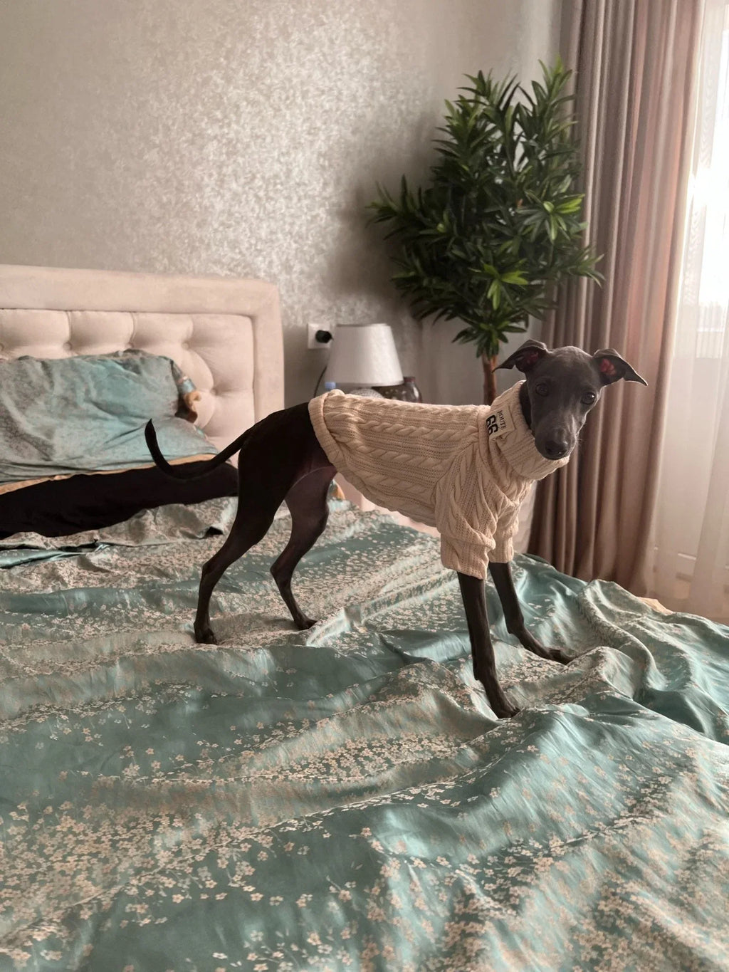 Knit Turtleneck Sweater for Small Dogs and Cats 15 - MiniPaw Luxe