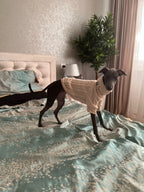 Knit Turtleneck Sweater for Small Dogs and Cats 15 - MiniPaw Luxe