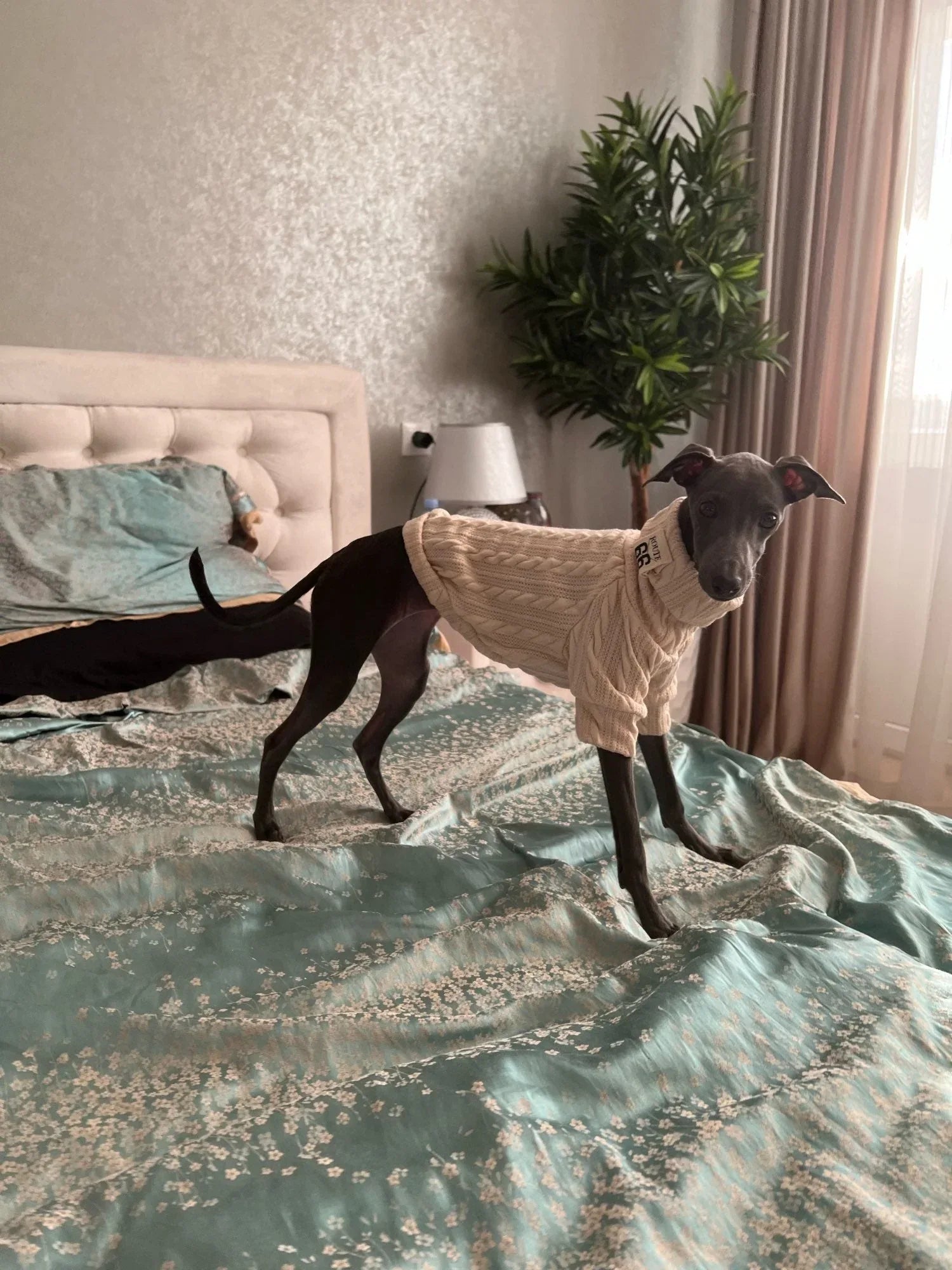 Knit Turtleneck Sweater for Small Dogs and Cats 15 - MiniPaw Luxe