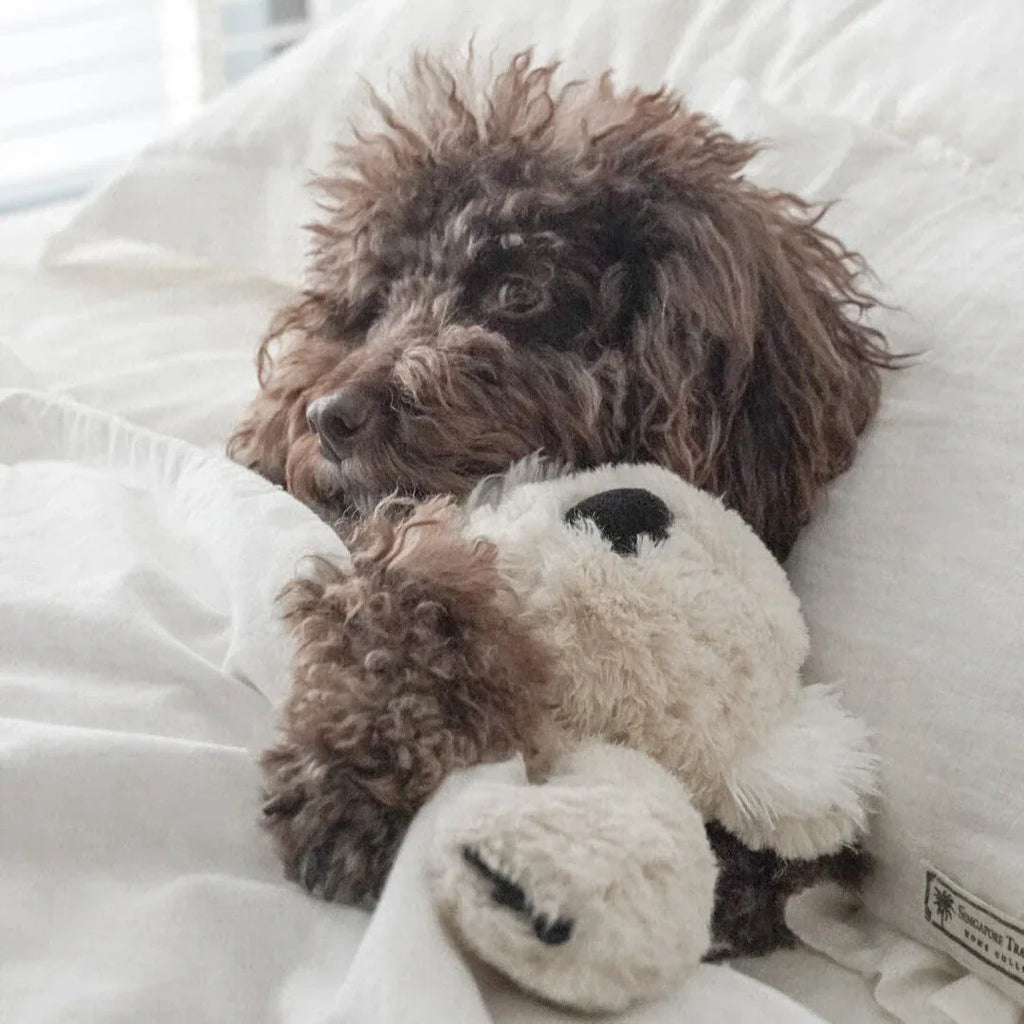 Koko Plush Toy | Maxi 6 - MiniPaw Luxe