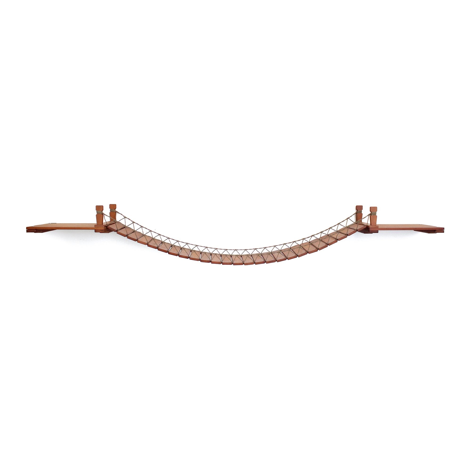 Cat Wall Bridge and Shelf Set