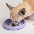Lick Dish Slow Feeder 4 - MiniPaw Luxe