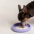 Lick Dish Slow Feeder 5 - MiniPaw Luxe
