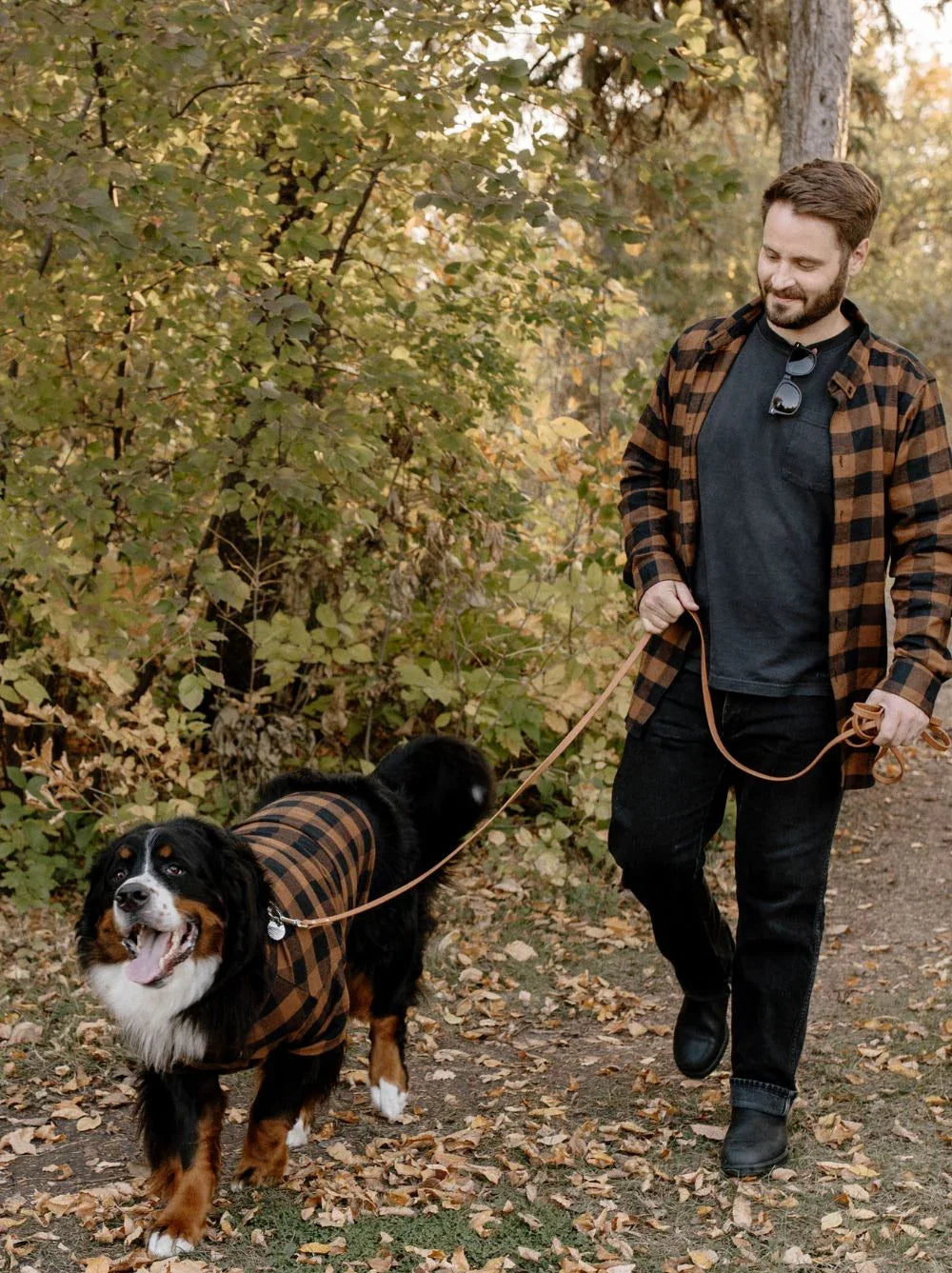 Lodge Flannel 4 - MiniPaw Luxe