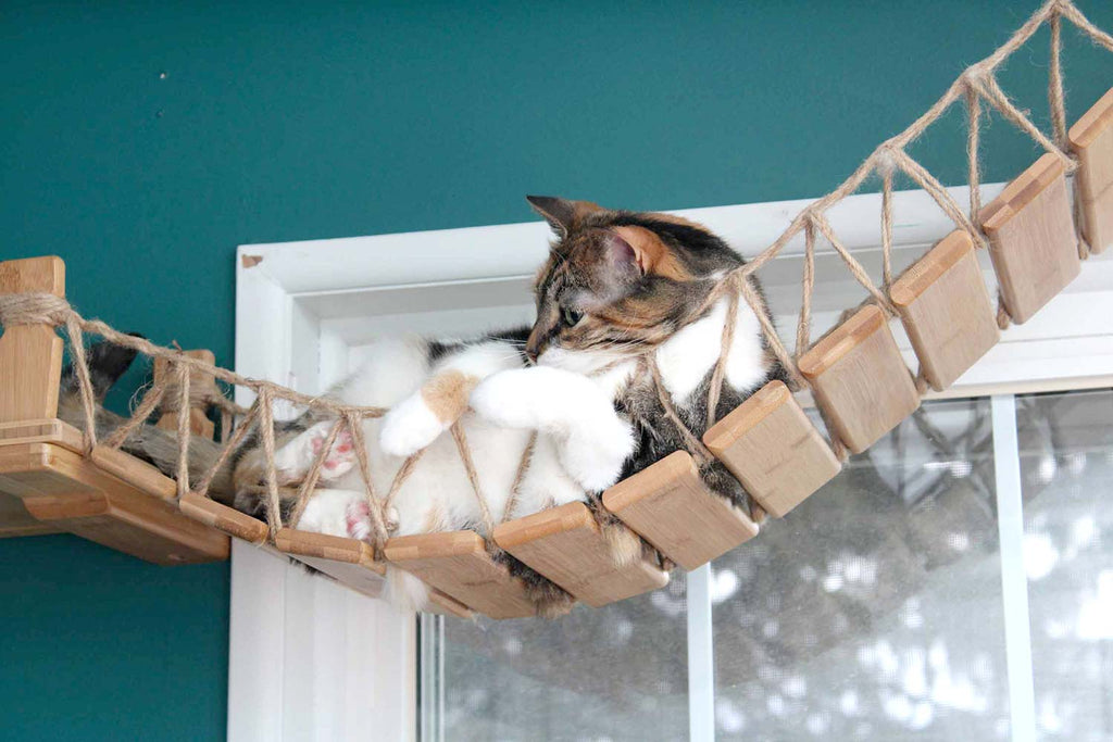 Cat Wall Bridge and Shelf Set