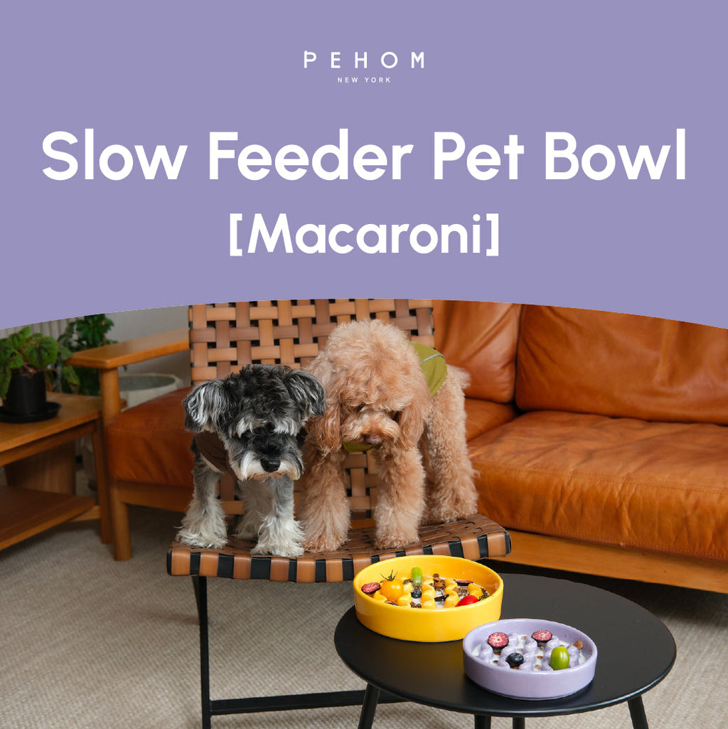 [Macaroni] Slow Feeder Dog Bowls - Yellow / Frozen Blue / Purple 13 - MiniPaw Luxe