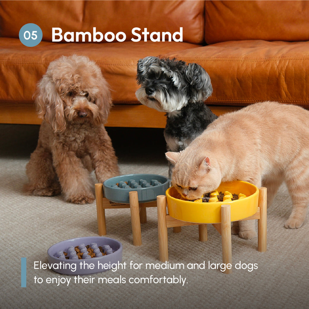 [Macaroni] Slow Feeder Dog Bowls - Yellow / Frozen Blue / Purple 18 - MiniPaw Luxe