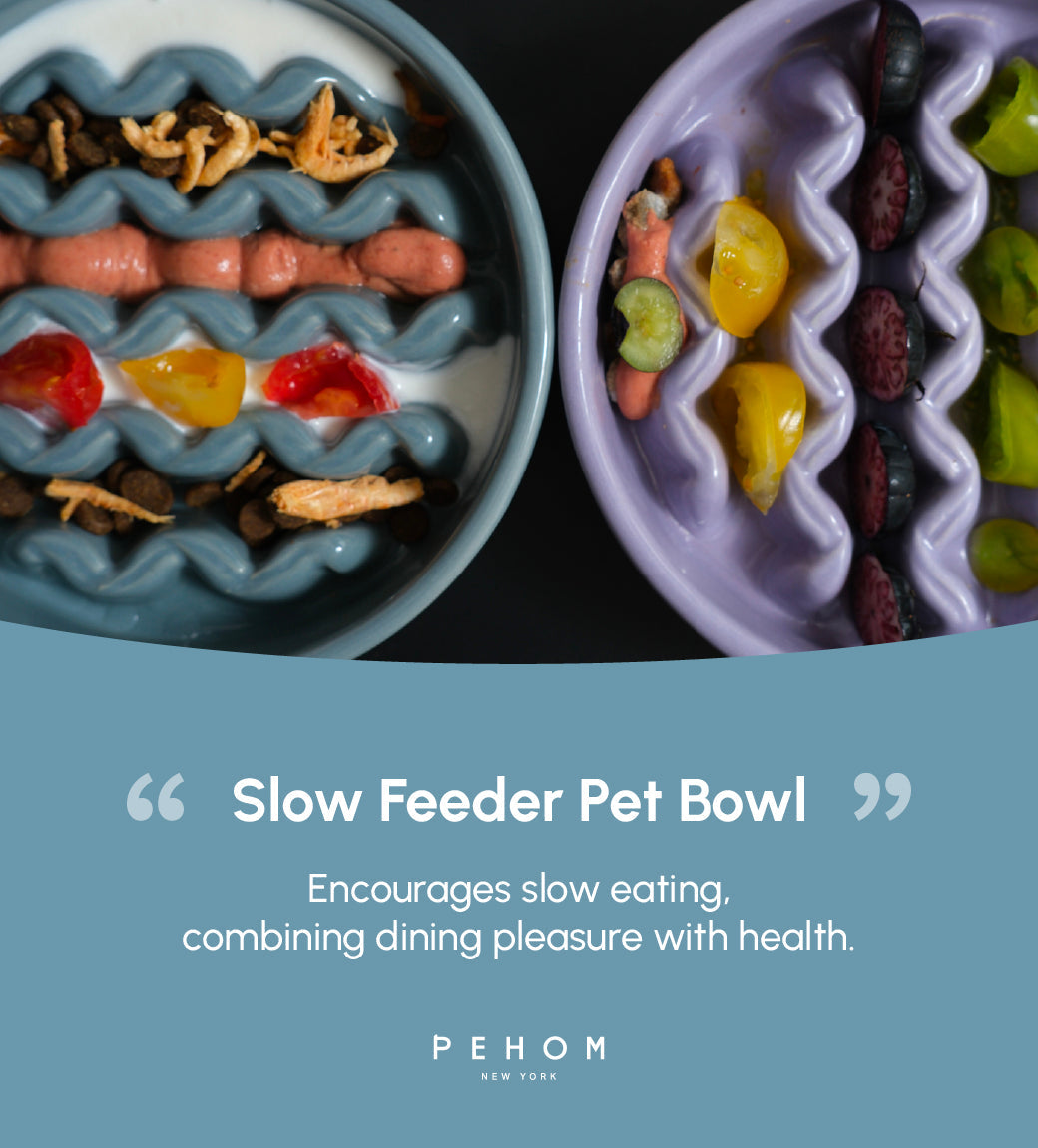 [Macaroni] Slow Feeder Dog Bowls - Yellow / Frozen Blue / Purple 20 - MiniPaw Luxe