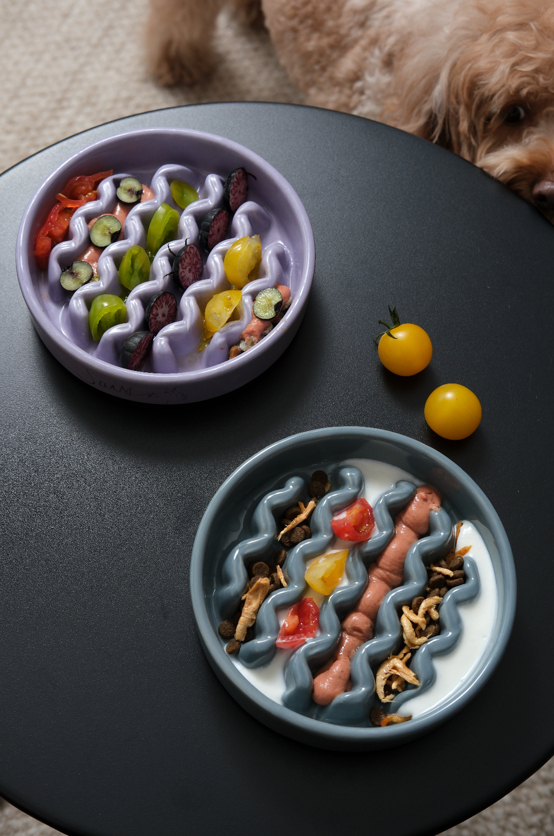[Macaroni] Slow Feeder Dog Bowls - Yellow / Frozen Blue / Purple 4 - MiniPaw Luxe