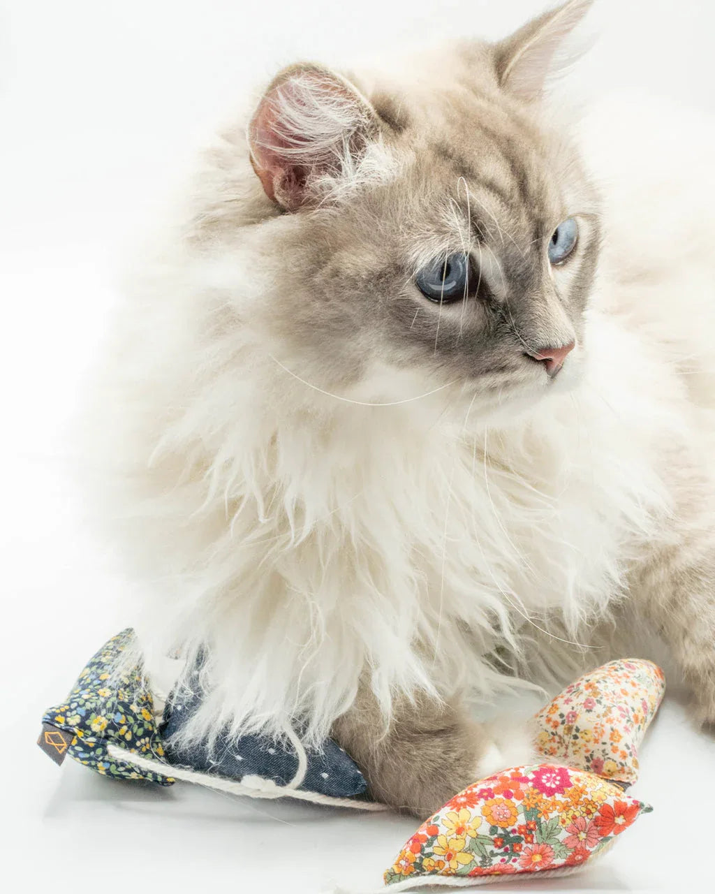 Modern Mouse Catnip Toy | Floral 1 - MiniPaw Luxe