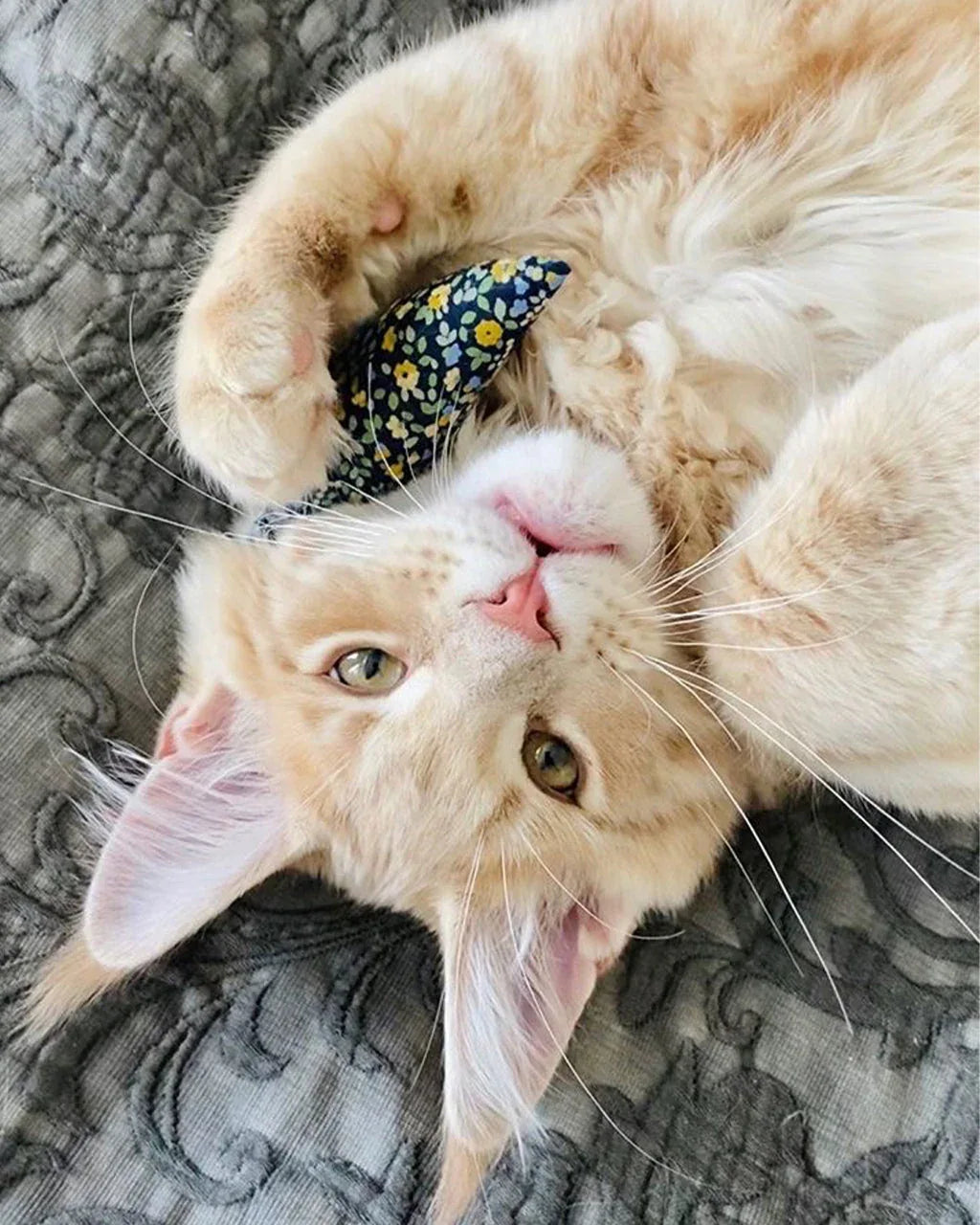 Modern Mouse Catnip Toy | Floral 2 - MiniPaw Luxe