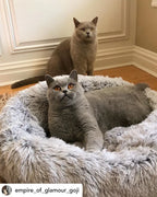 Mr. Peanut's 28" OrthoPlush® Pet Bed - Snowflake White Two Tone 13 - MiniPaw Luxe