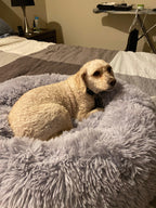 Mr. Peanut's 28" OrthoPlush® Pet Bed - Snowflake White Two Tone 17 - MiniPaw Luxe