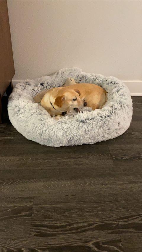 Mr. Peanut's 28" OrthoPlush® Pet Bed - Snowflake White Two Tone 18 - MiniPaw Luxe