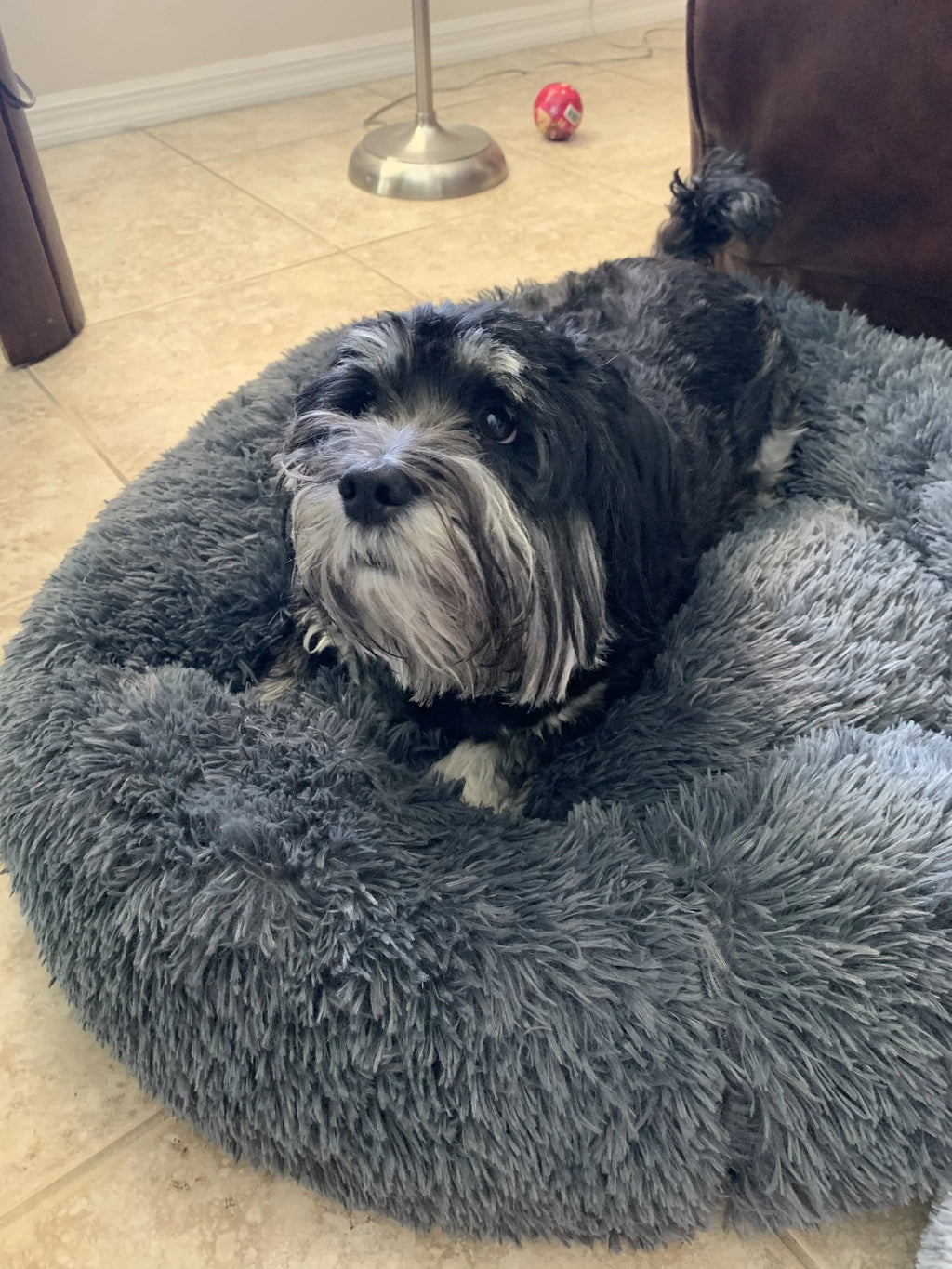 Mr. Peanut's 28" OrthoPlush® Pet Bed - Snowflake White Two Tone 20 - MiniPaw Luxe