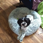 Mr. Peanut's 28" OrthoPlush® Pet Bed - Snowflake White Two Tone 37 - MiniPaw Luxe