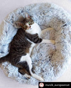 Mr. Peanut's 28" OrthoPlush® Pet Bed - Snowflake White Two Tone 6 - MiniPaw Luxe