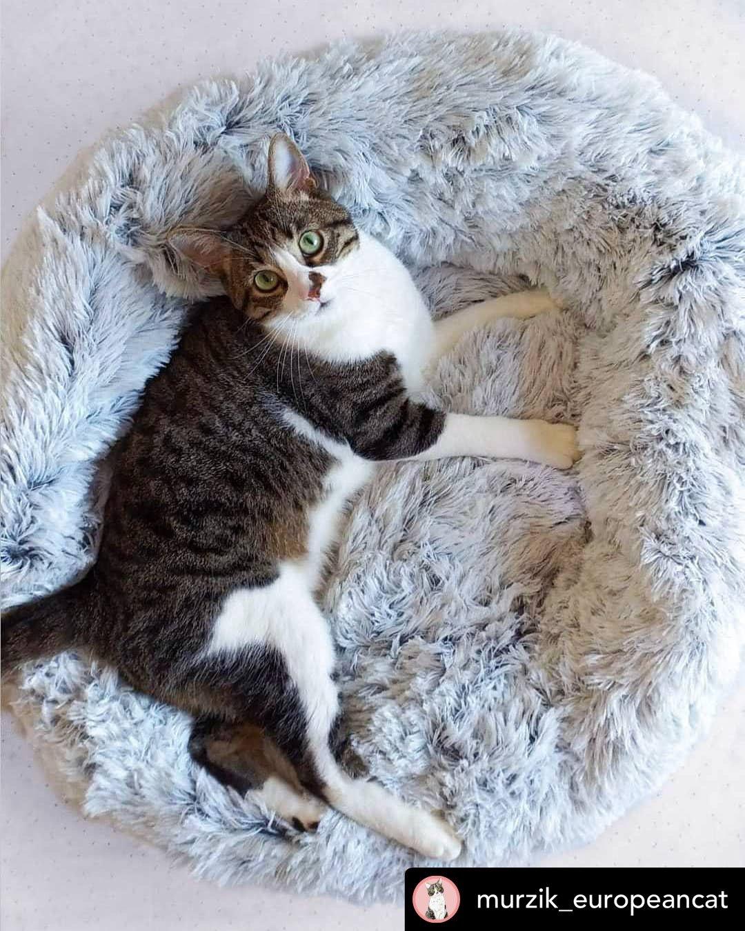 Mr. Peanut's 28" OrthoPlush® Pet Bed - Snowflake White Two Tone 6 - MiniPaw Luxe
