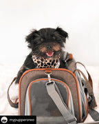 Mr. Peanut's Gold Series Standard Size Airline Compliant Pet Carrier 17 - MiniPaw Luxe