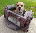 Mr. Peanut's Gold Series Standard Size Airline Compliant Pet Carrier 19 - MiniPaw Luxe
