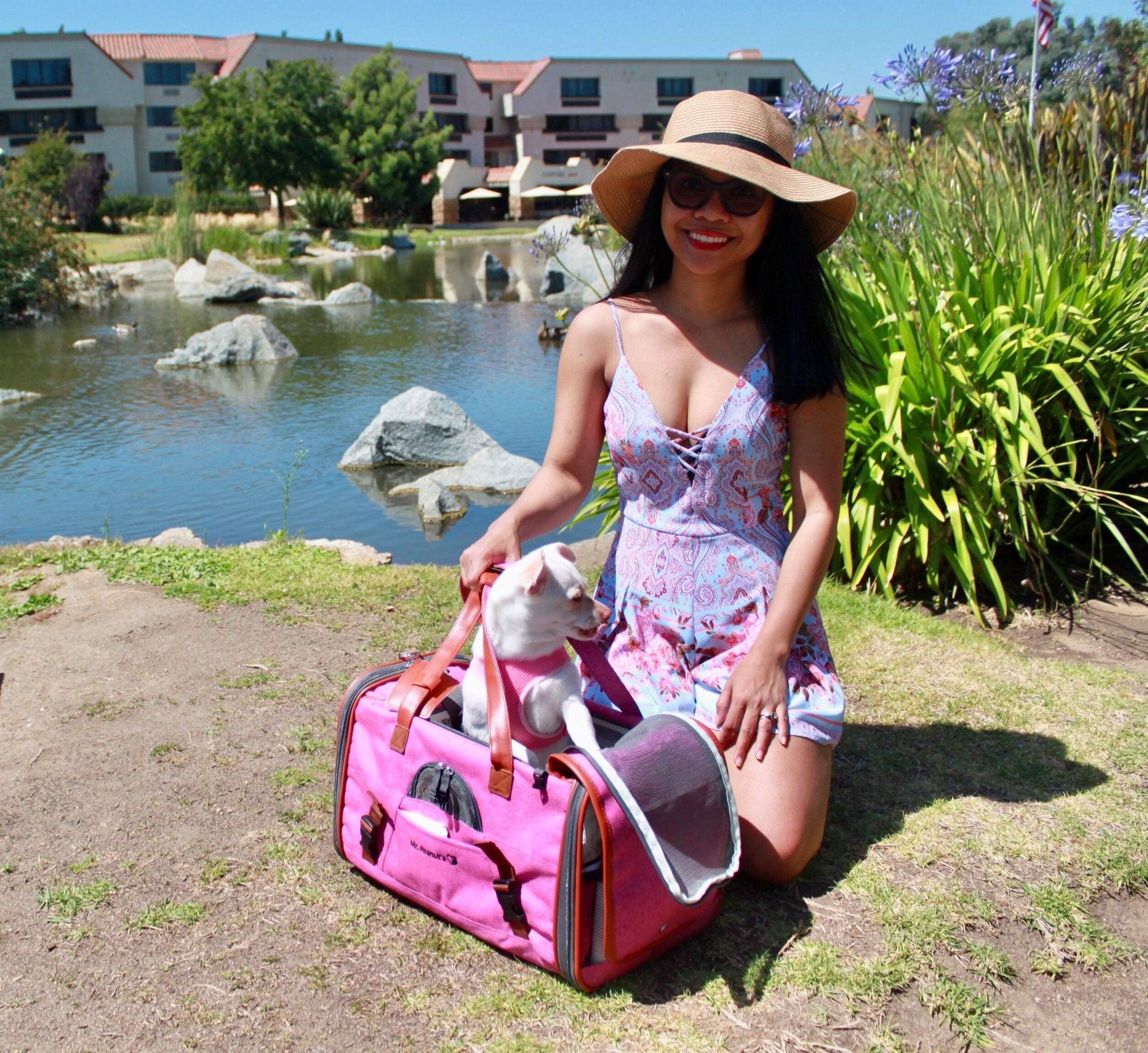 Mr. Peanut's Gold Series Standard Size Airline Compliant Pet Carrier 20 - MiniPaw Luxe