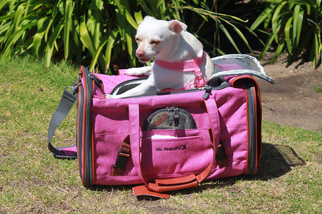 Mr. Peanut's Gold Series Standard Size Airline Compliant Pet Carrier 24 - MiniPaw Luxe