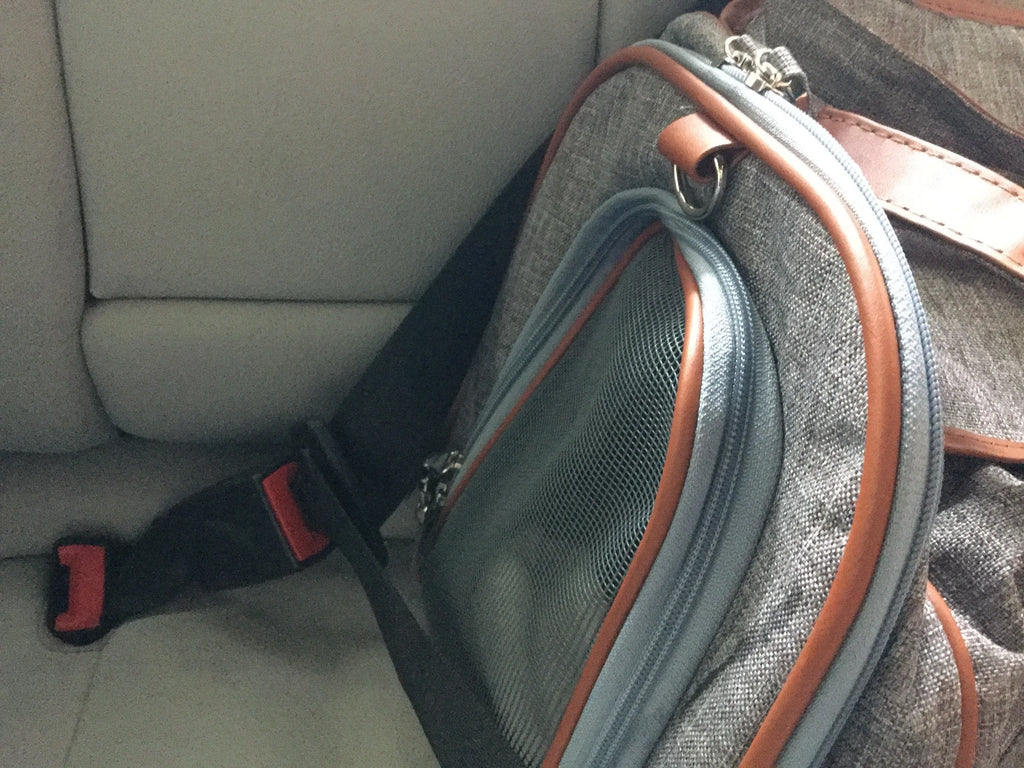 Mr. Peanut's Gold Series Standard Size Airline Compliant Pet Carrier 26 - MiniPaw Luxe