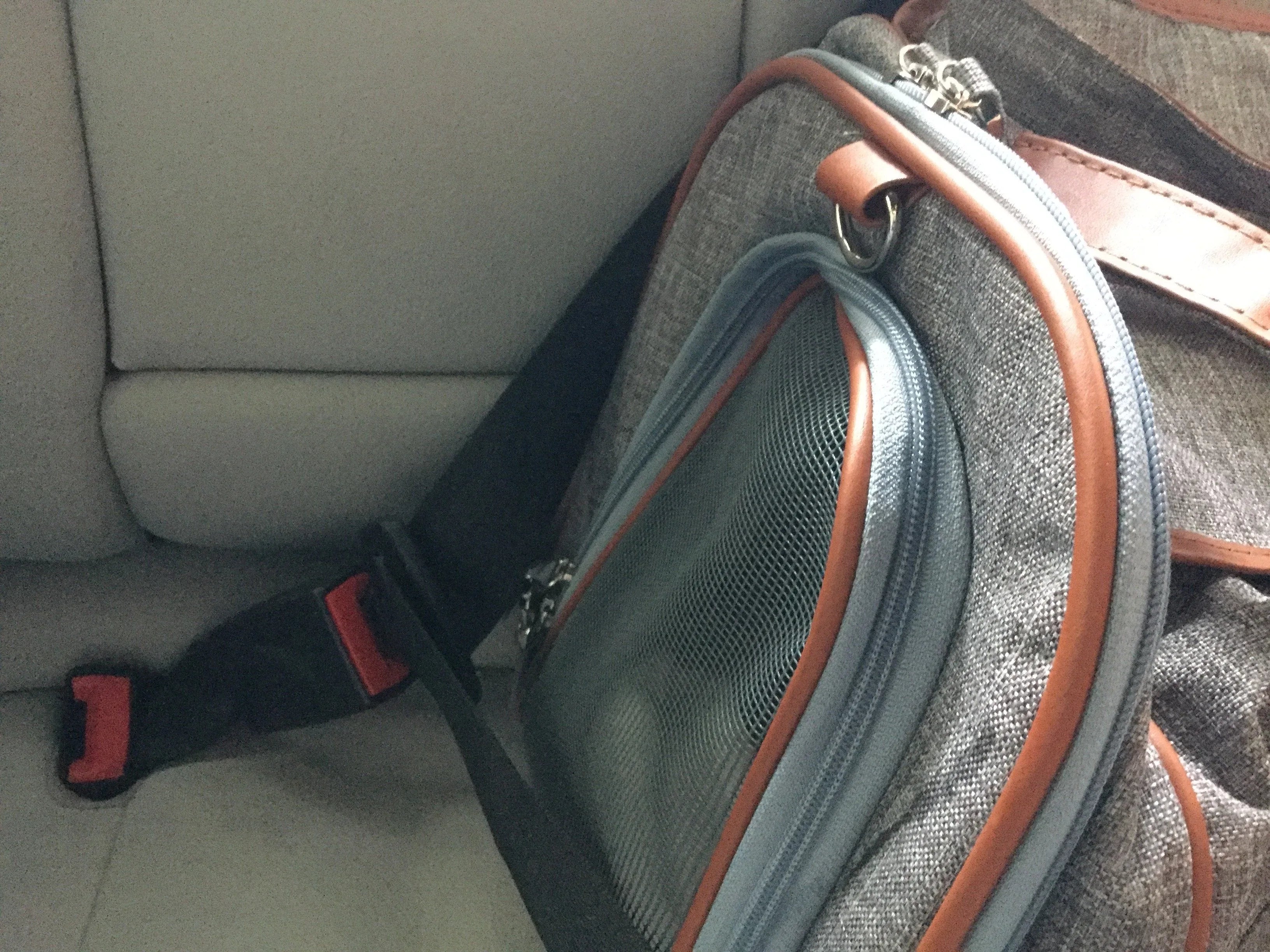 Mr. Peanut's Gold Series Standard Size Airline Compliant Pet Carrier 26 - MiniPaw Luxe