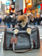 Mr. Peanut's Gold Series Standard Size Airline Compliant Pet Carrier 3 - MiniPaw Luxe