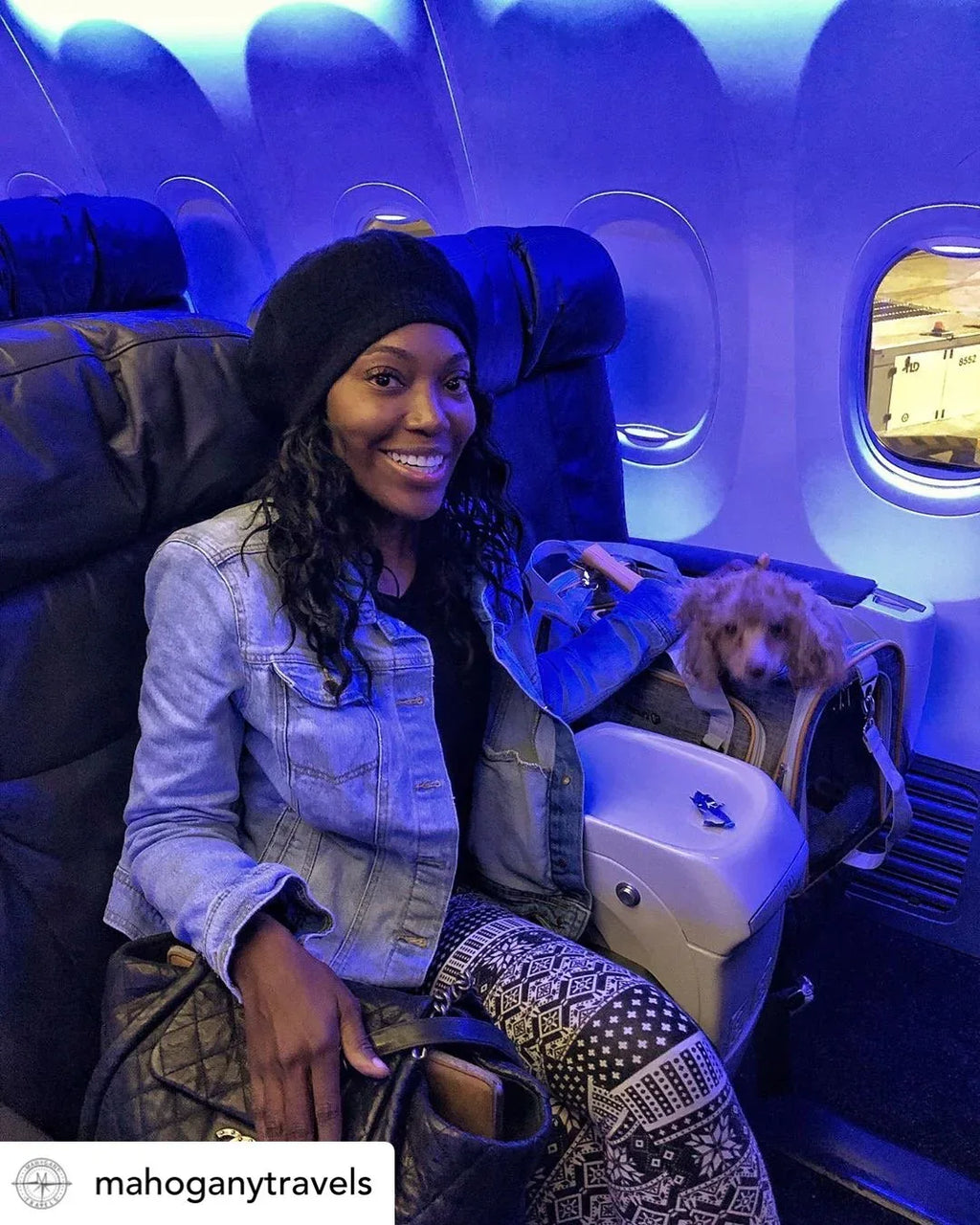 Mr. Peanut's Platinum Series Expandable Pet Carrier 13 - MiniPaw Luxe
