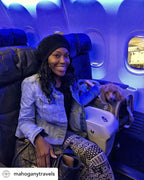 Mr. Peanut's Platinum Series Expandable Pet Carrier 13 - MiniPaw Luxe