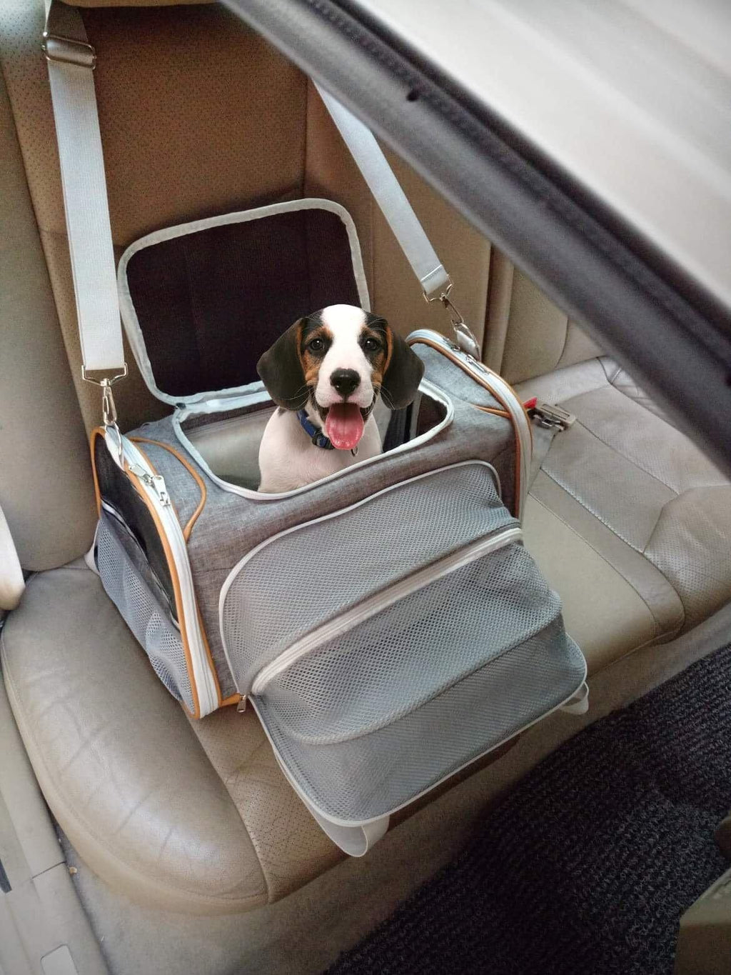 Mr. Peanut's Platinum Series Expandable Pet Carrier 31 - MiniPaw Luxe