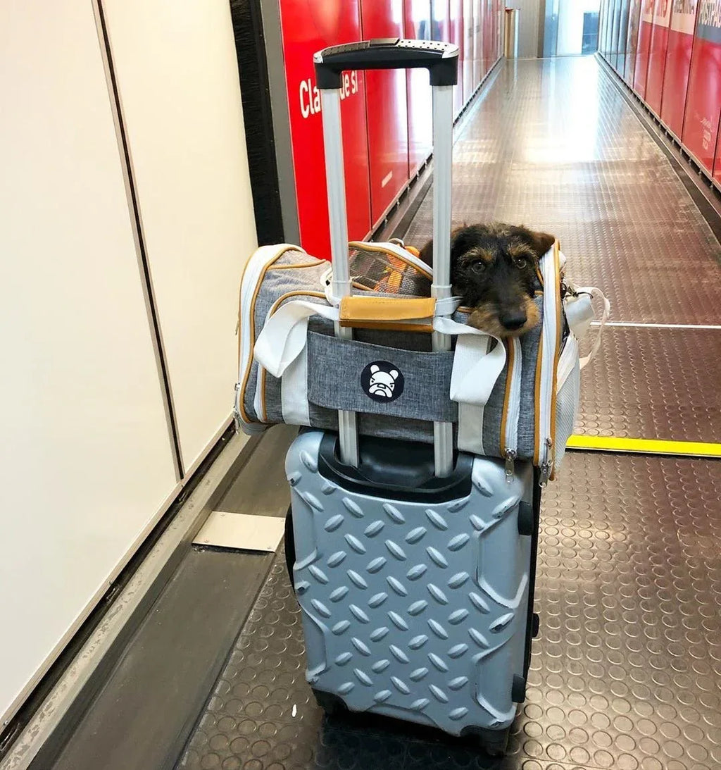 Mr. Peanut's Platinum Series Expandable Pet Carrier 33 - MiniPaw Luxe