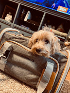 Mr. Peanut's Platinum Series Expandable Pet Carrier 34 - MiniPaw Luxe