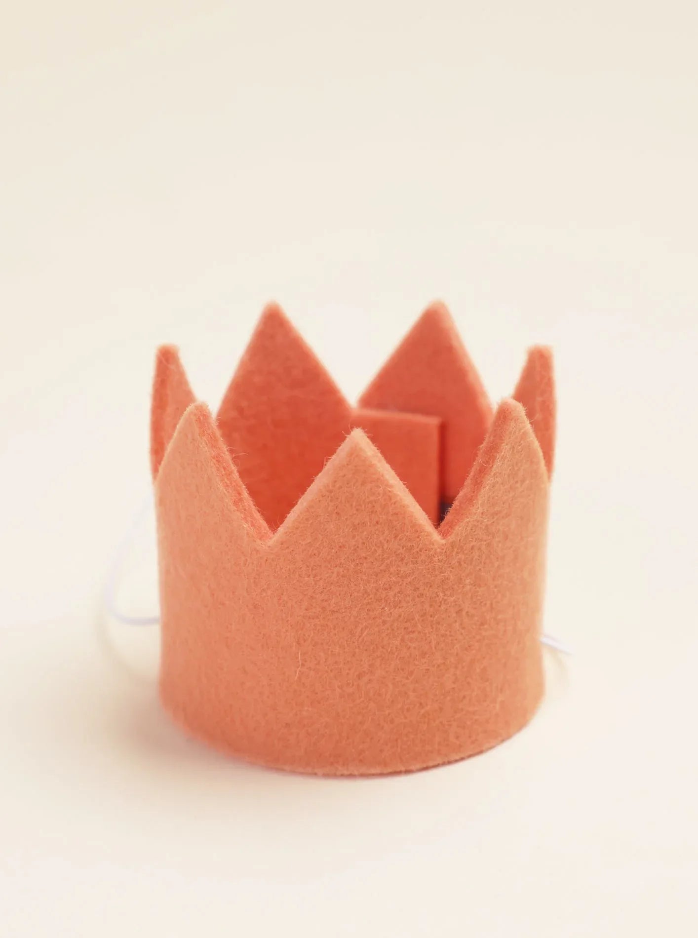 Neutral Party Crowns 1 - MiniPaw Luxe