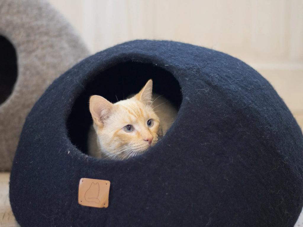 Night Black | Round Style Cave 3 - MiniPaw Luxe
