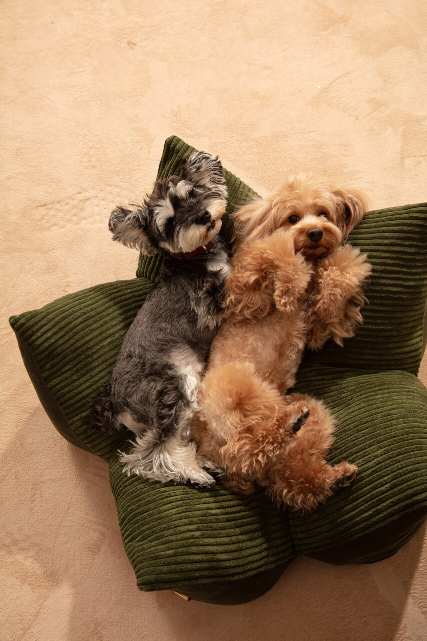 OULU X PEHOM - CUDDLE PET PILLOW BED | Navy Blue / Olive Green / Canyon Brown 16 - MiniPaw Luxe