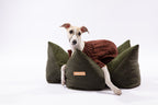 OULU X PEHOM - CUDDLE PET PILLOW BED | Navy Blue / Olive Green / Canyon Brown 8 - MiniPaw Luxe