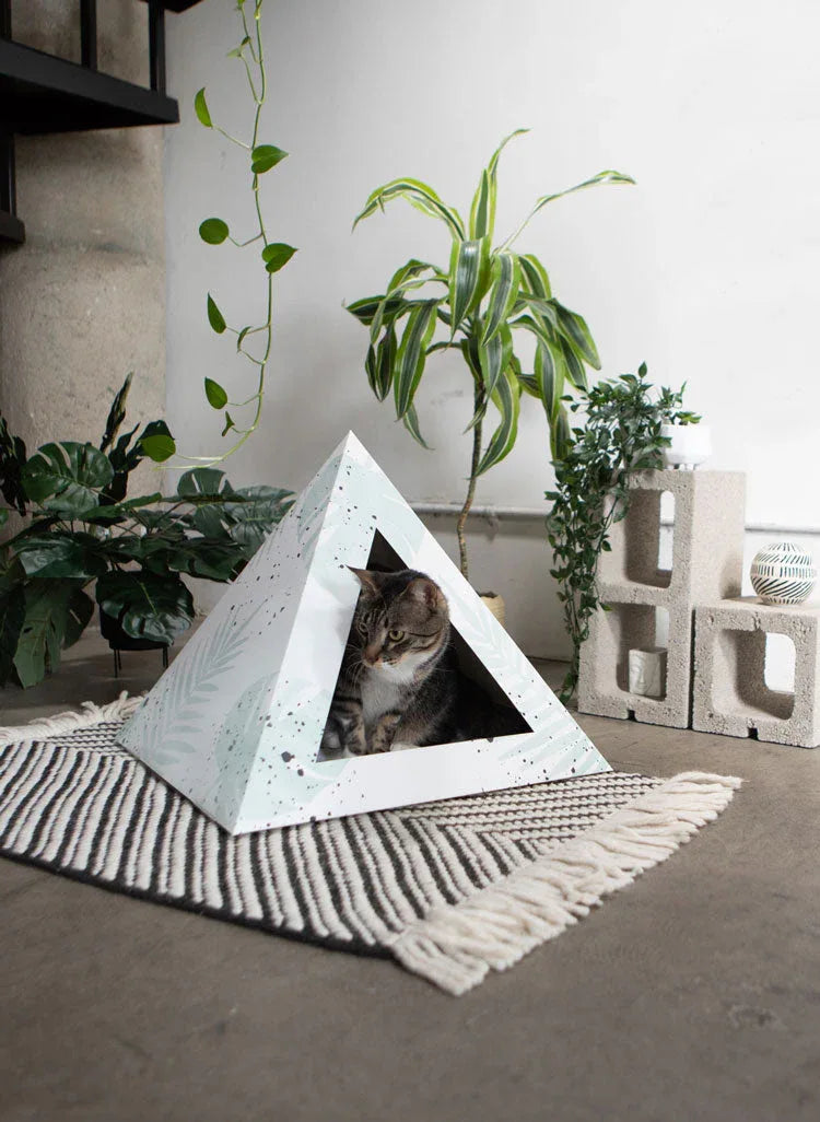 'Oasis' Cat Pyramid 1 - MiniPaw Luxe