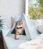 'Oasis' Cat Pyramid 2 - MiniPaw Luxe
