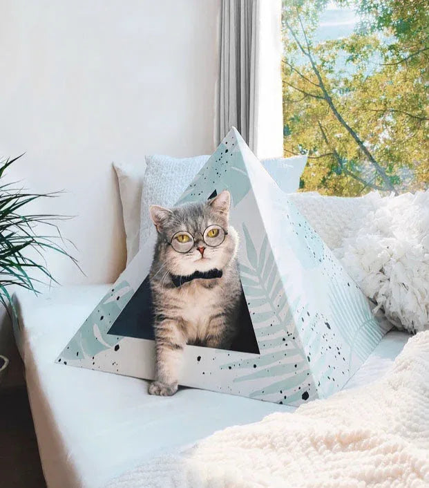 'Oasis' Cat Pyramid 2 - MiniPaw Luxe