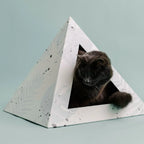 'Oasis' Cat Pyramid 4 - MiniPaw Luxe